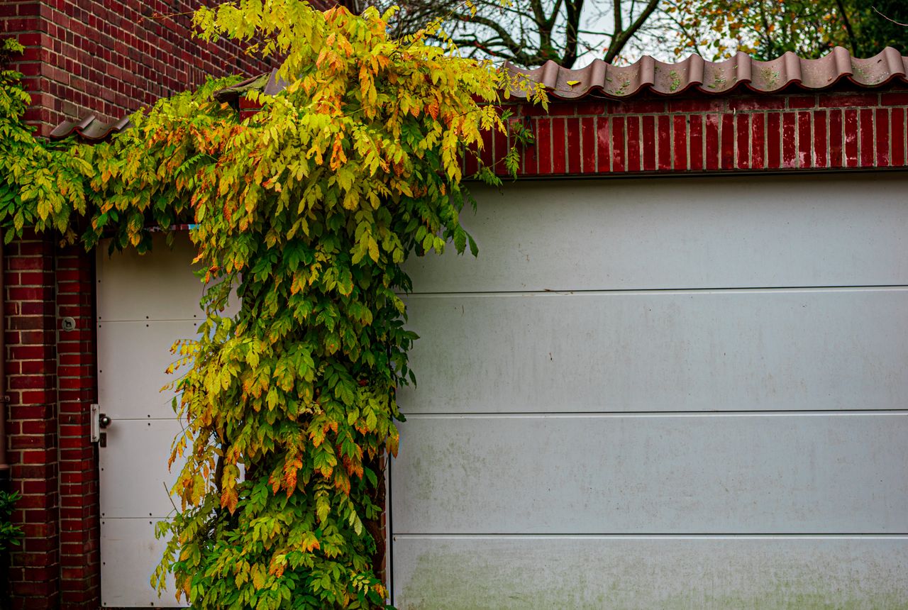 Garage door service in Centennial, CO